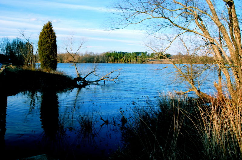 Lake Higgins