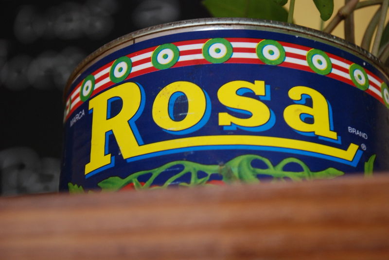 Rosa