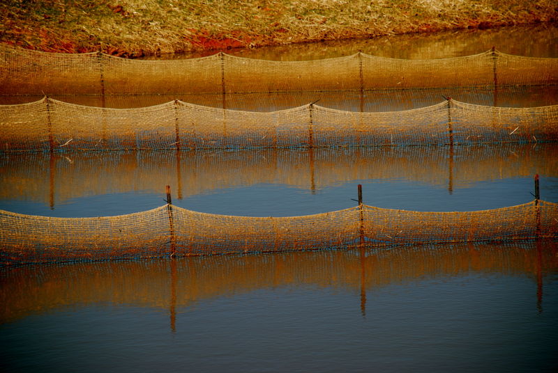 Construction at Greensboro Country Club