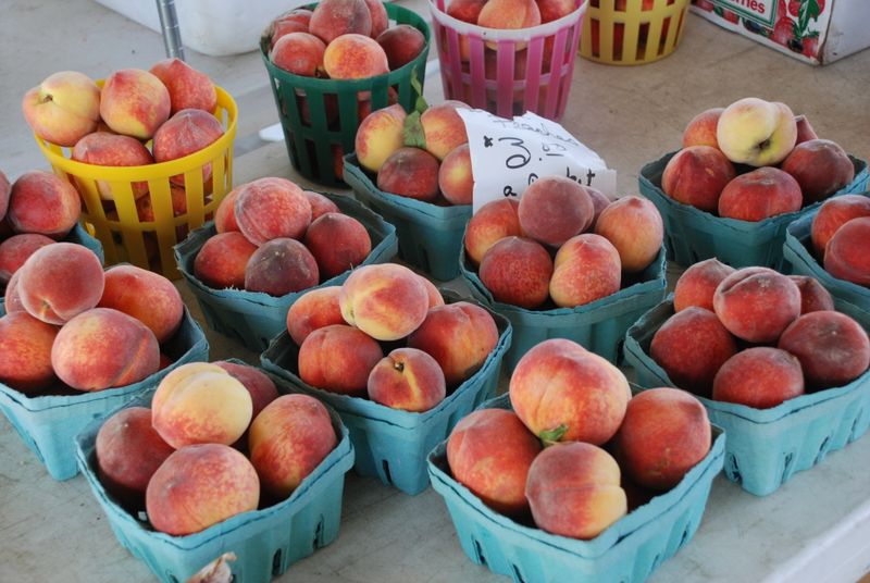 Greensboro Farmers’ Market(s) on Saturday