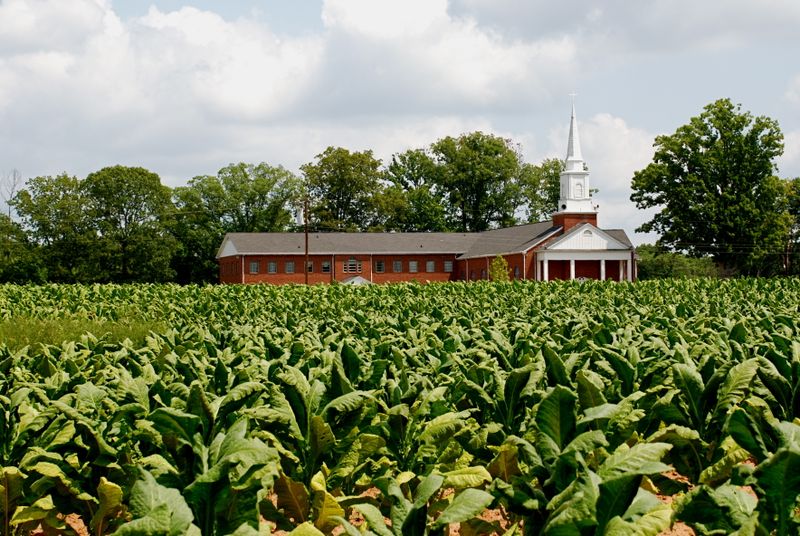 Union Grove Baptist Church: Sin and Salvation in one Field