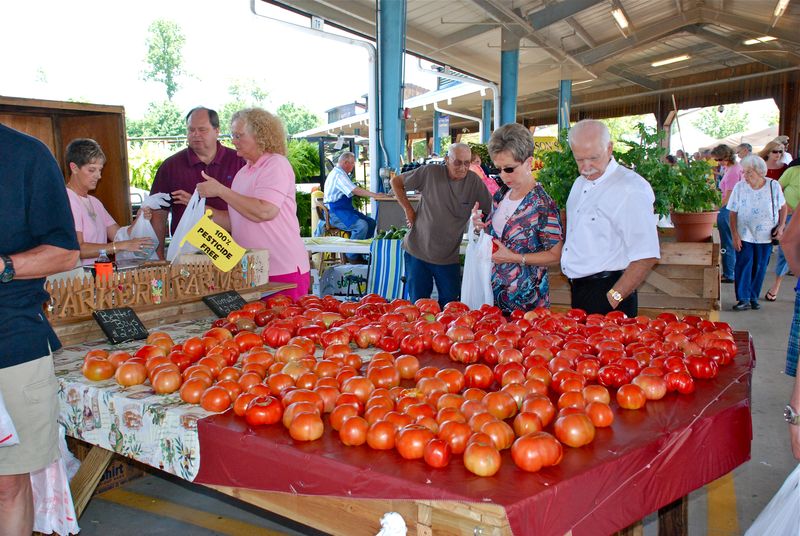 Tomato Time