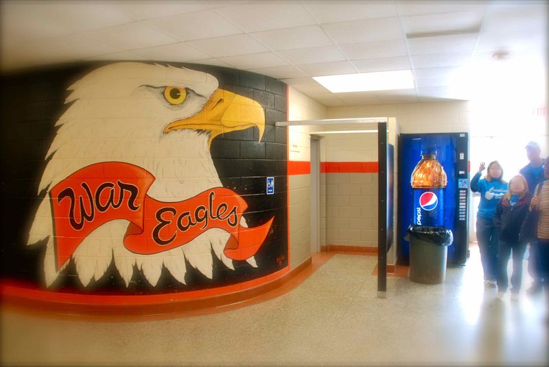 War Eagle(s) Spotted in North Carolina