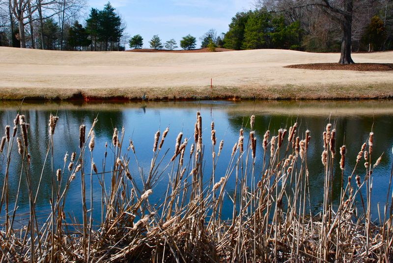 Beware of the Ides of March