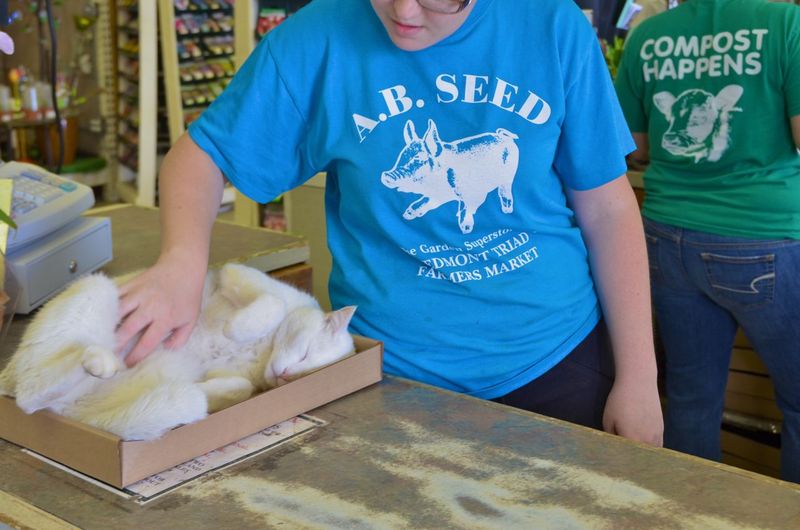 AB SEED at Piedmont Triad Farmers’ Market