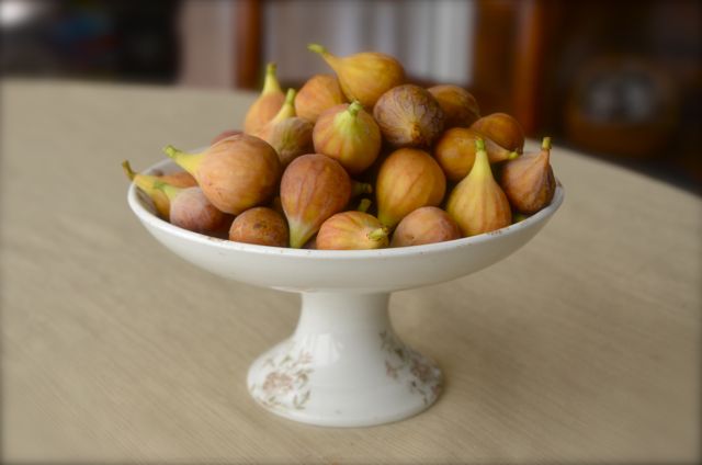 Summer Bounty of Figs