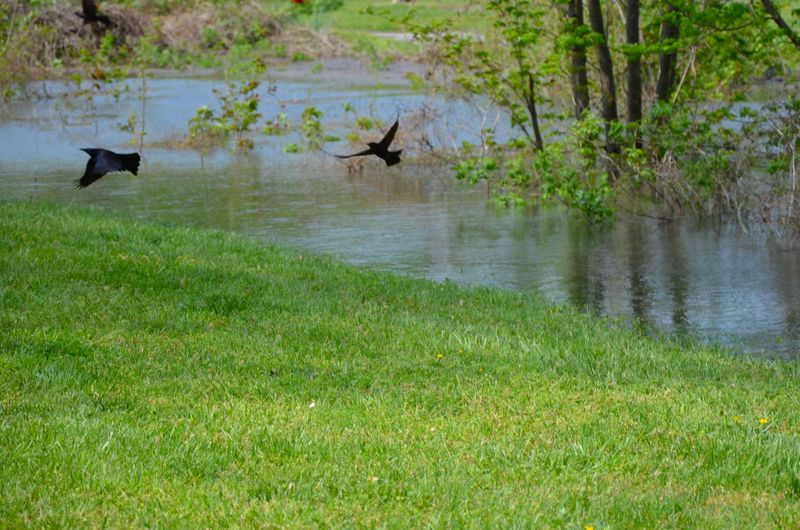 After the Storm in North Carolina
