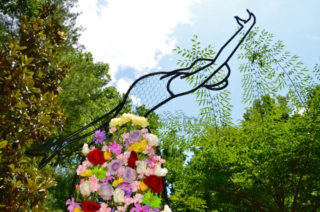 Camberly’s Garden