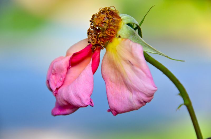 Finding Beauty Where You Least Expect It