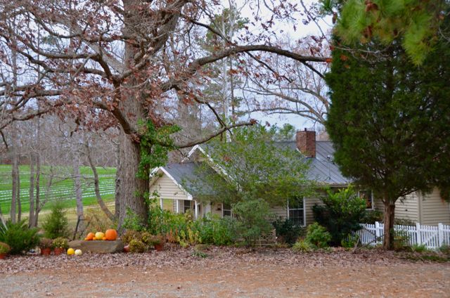 Happy Thanksgiving 2011