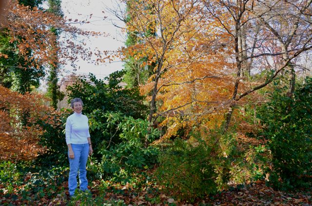 T is for Treanor, Kathy Treanor