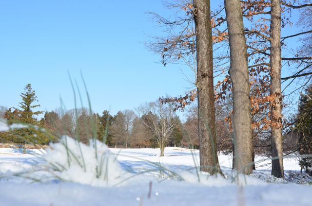 Snow Day