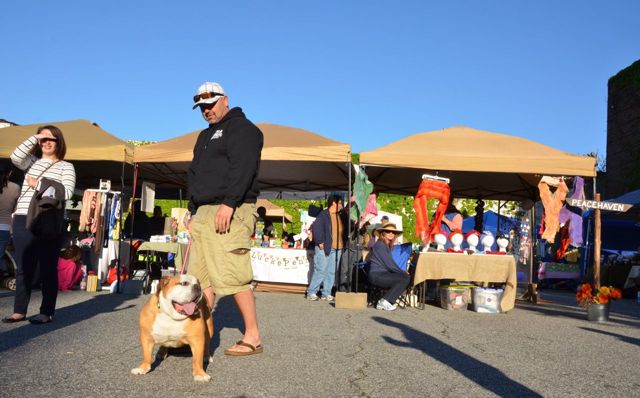 Man & Bulldog