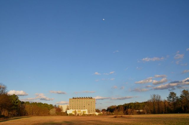 Moon Over Proximity