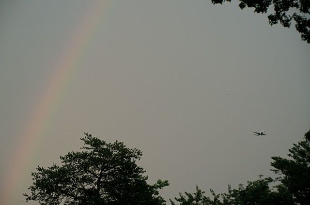 Flying through Rainbows