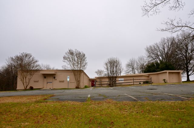 D is for Dogs, People and Paws for Hope