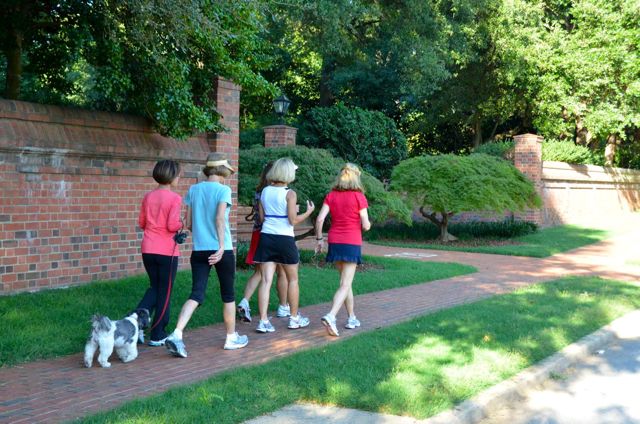 Out for Late Afternoon Walk