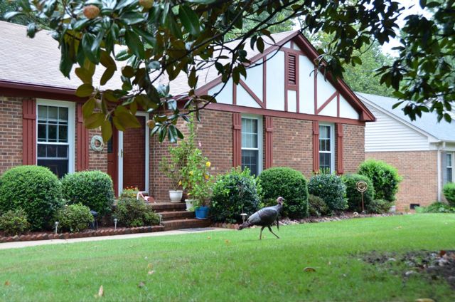 J is for Jefferson Gardens