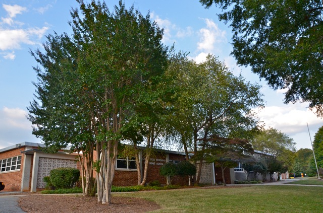 M is for Morehead Elementary