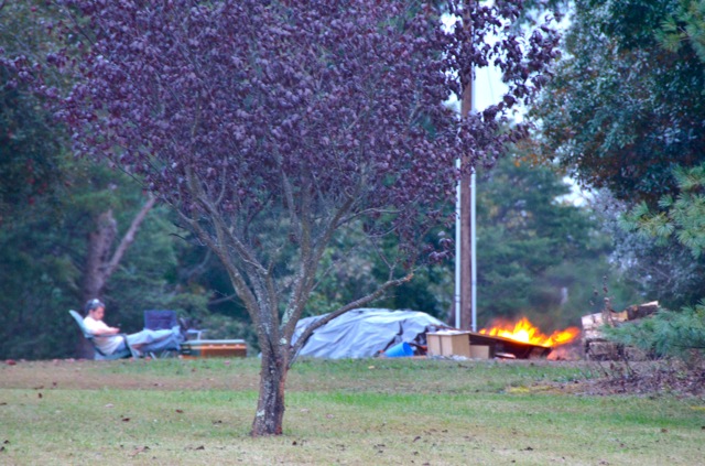 Leaf Burning… or NOT