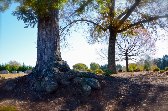 Fall Landscapes and Country Traditions