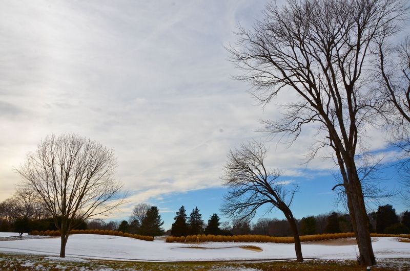 Winter Blue and White