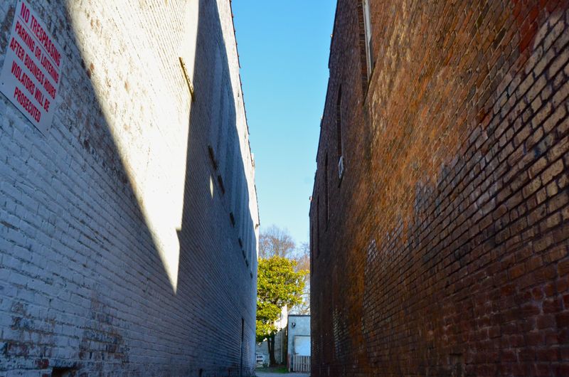 Path and Triangle