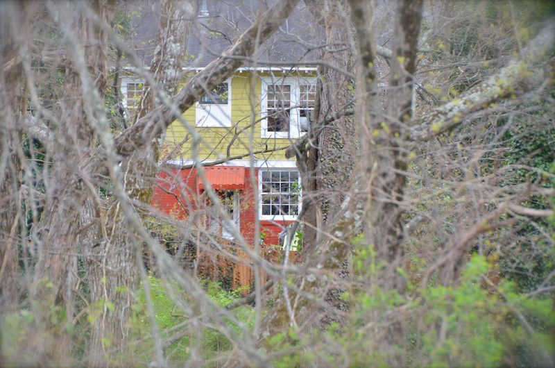 Westerwood House