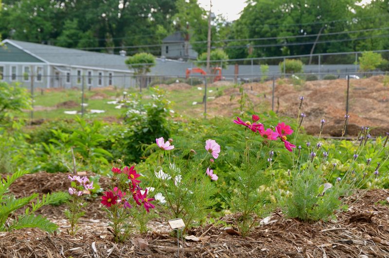 S is for Sustainability