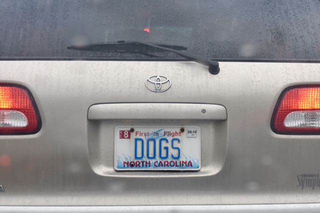 Dog Tag