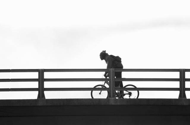 Shall We Bike?