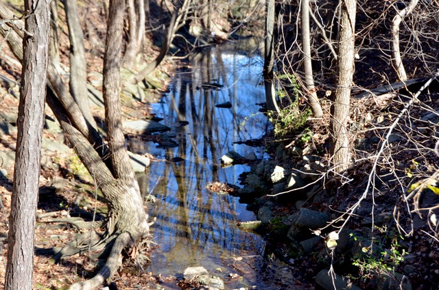 Stream at Yanceyville Curb Market