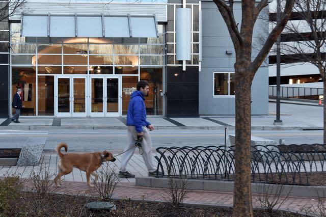 Man and Dog