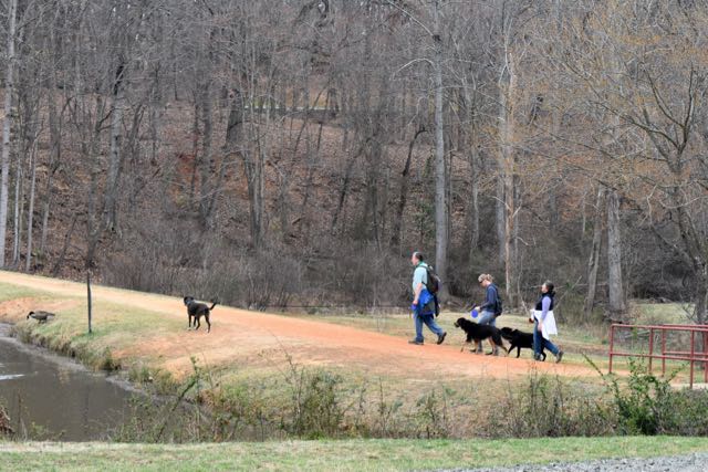 A Walk in Park
