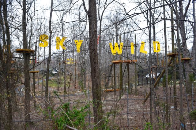 SKYWILD