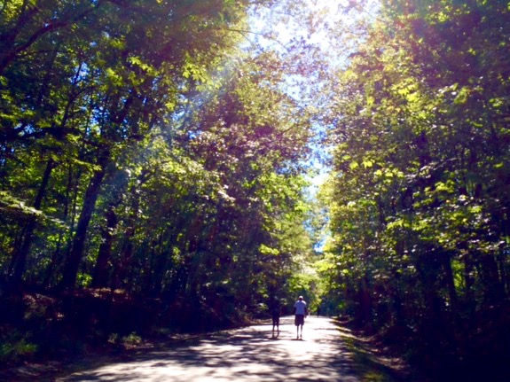 Glorious Fall Day