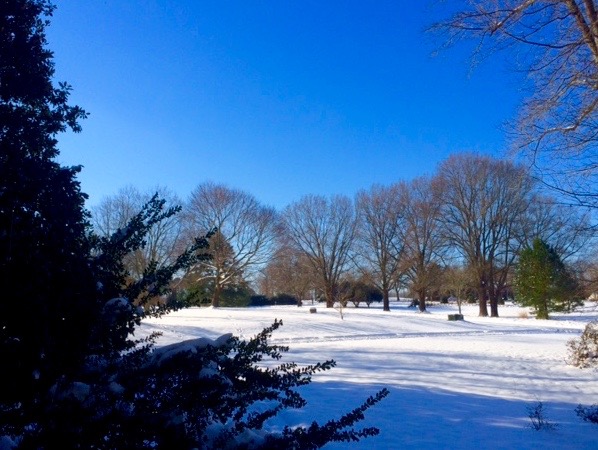 Sun & Snow