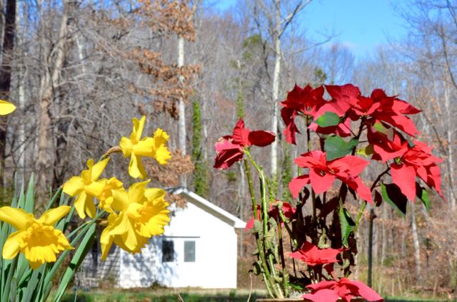 A Tale of Two Seasons