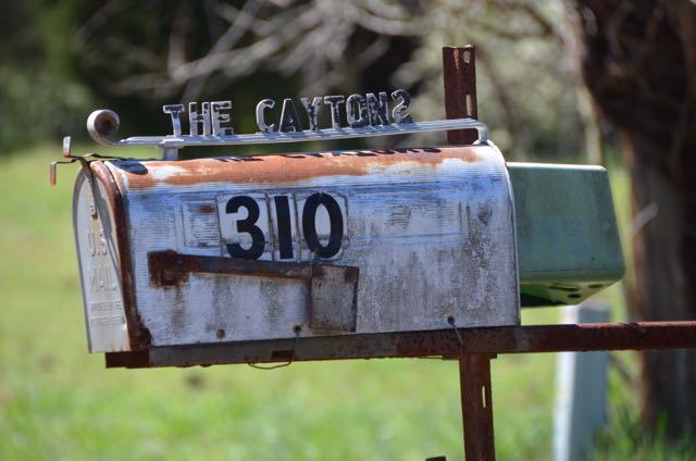 You’ve Got Mail!