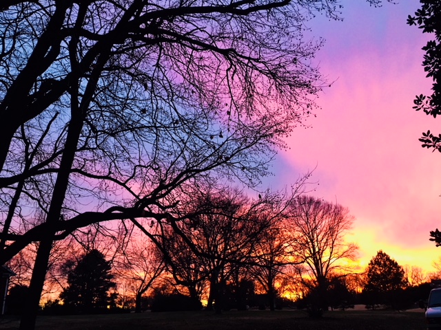 Silent Meditation Sunset