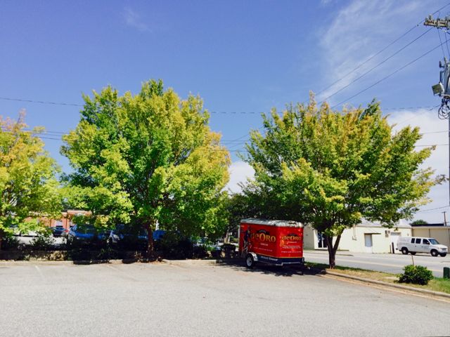 Fall Weather is in Air