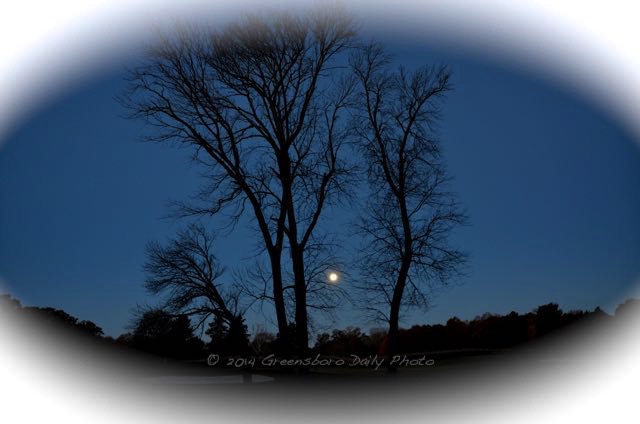 By the Light of the Moon