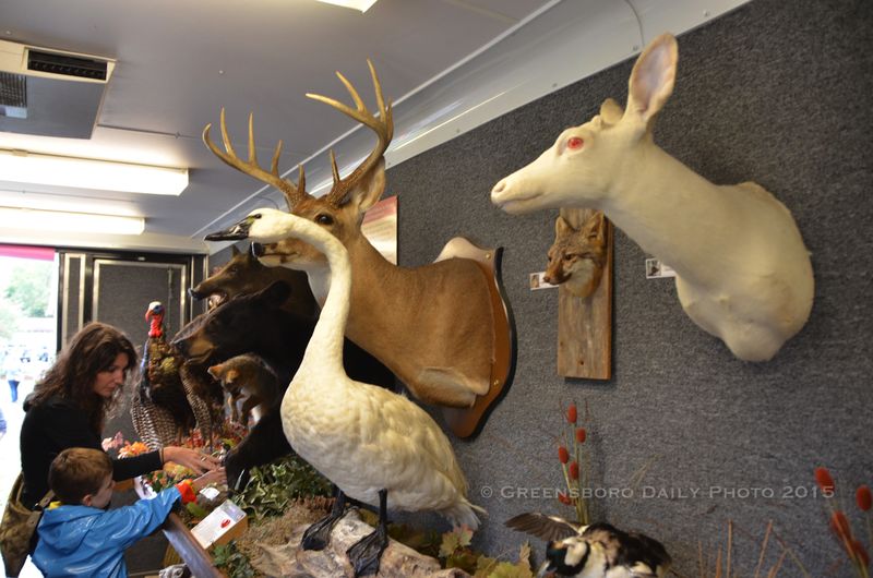 Wildlife at Bur-Mil Park