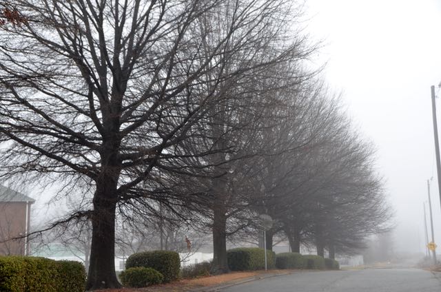 Fog Along Oakland Avenue