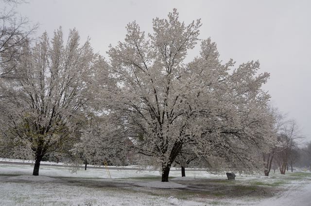 Surprise Snow in Greensboro