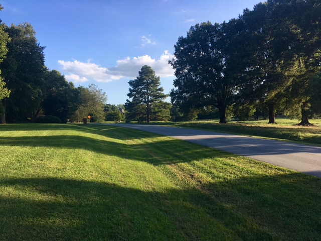 Hints of Fall