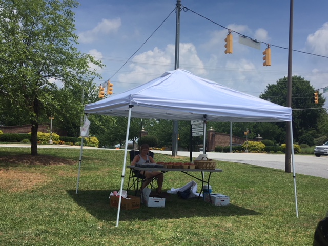 Produce Stands and the Flavors of Summer