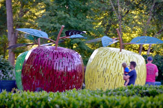 Apples at Gateway Gardens