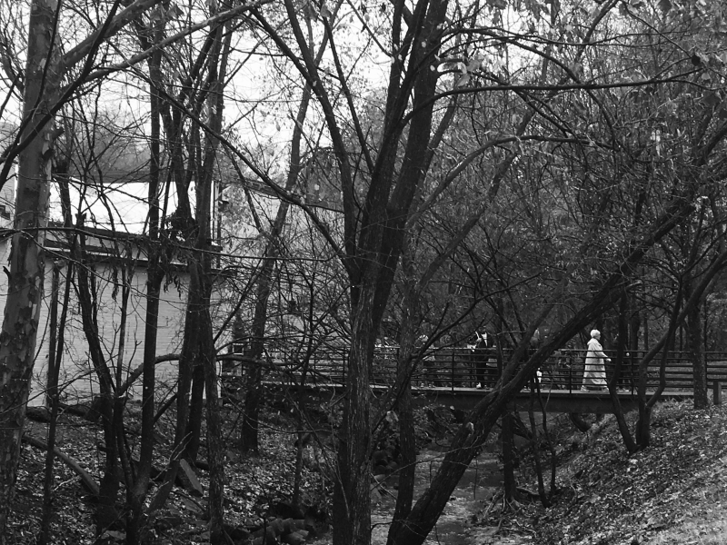 The Greensboro of Yesteryear