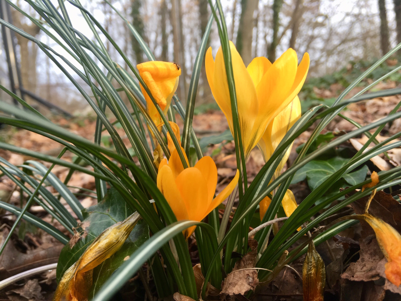 Spring Is On Its Way…